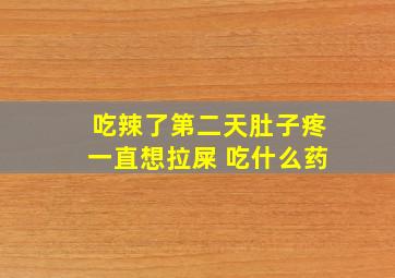 吃辣了第二天肚子疼一直想拉屎 吃什么药